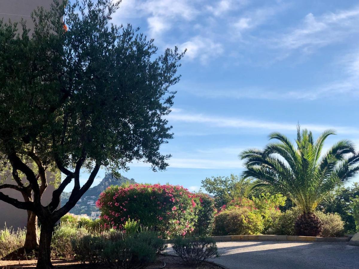 Grand Studio A Hyeres Entre Mer Et Ville 외부 사진